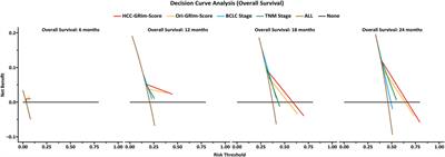 Development and Validation of a Prognostic Score for Hepatocellular Carcinoma Patients in Immune Checkpoint Inhibitors Therapies: The Hepatocellular Carcinoma Modified Gustave Roussy Immune Score